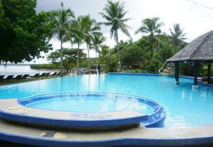 怎樣用吸污機對泳池有效去污？